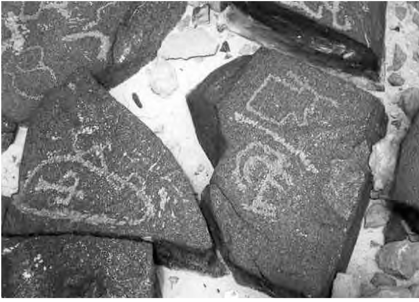 Древние рисунки на камнях горы Карком (из книги Э. Анати)