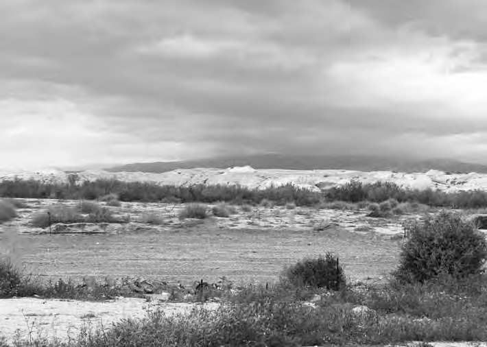 Вид на Иерихонскую долину со стороны р.Иордан. В этом месте Иисус Навин со своим войском вошел в Землю Обетованную
